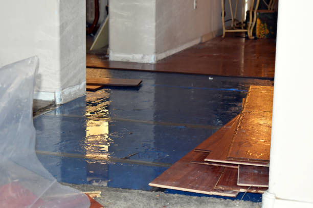 Professional Basement Flood Cleanup technician working in North Chatham, MA